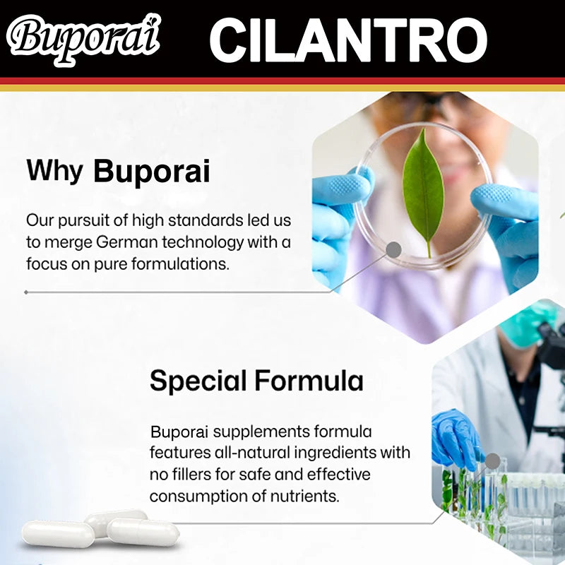 Cilantro Supplement - Rich Source of Antioxidants - Natural Cleansing & Detox