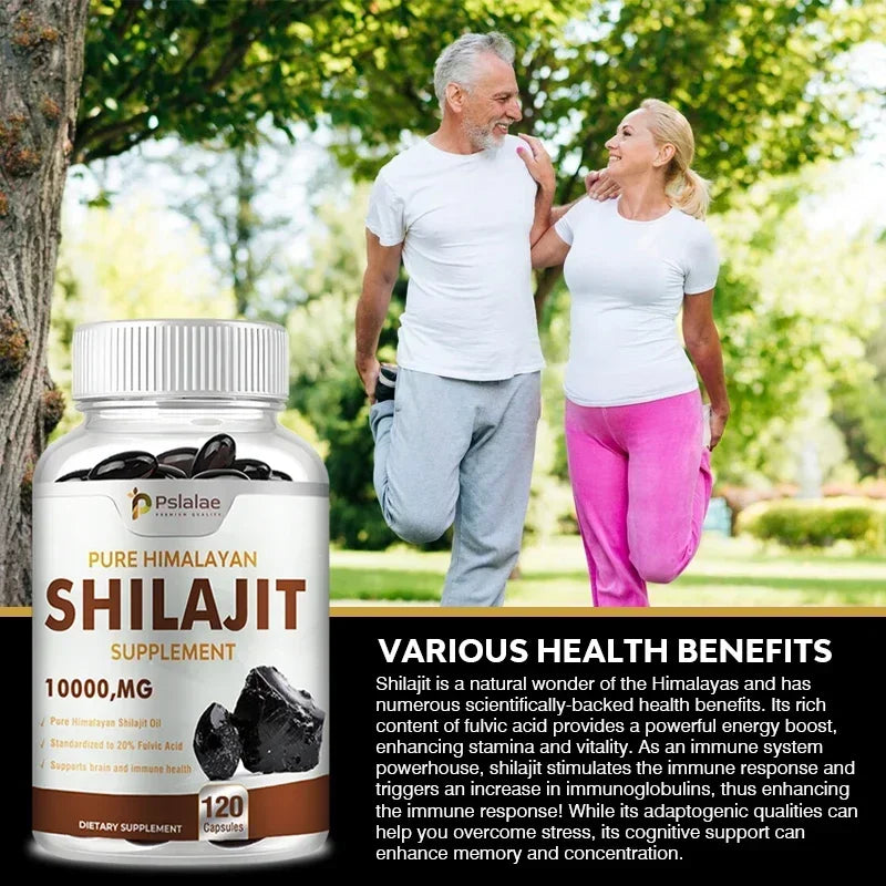 Shilajit - Increase Vitality and Energy, Improve Cognitive Function, and Enhance Memory