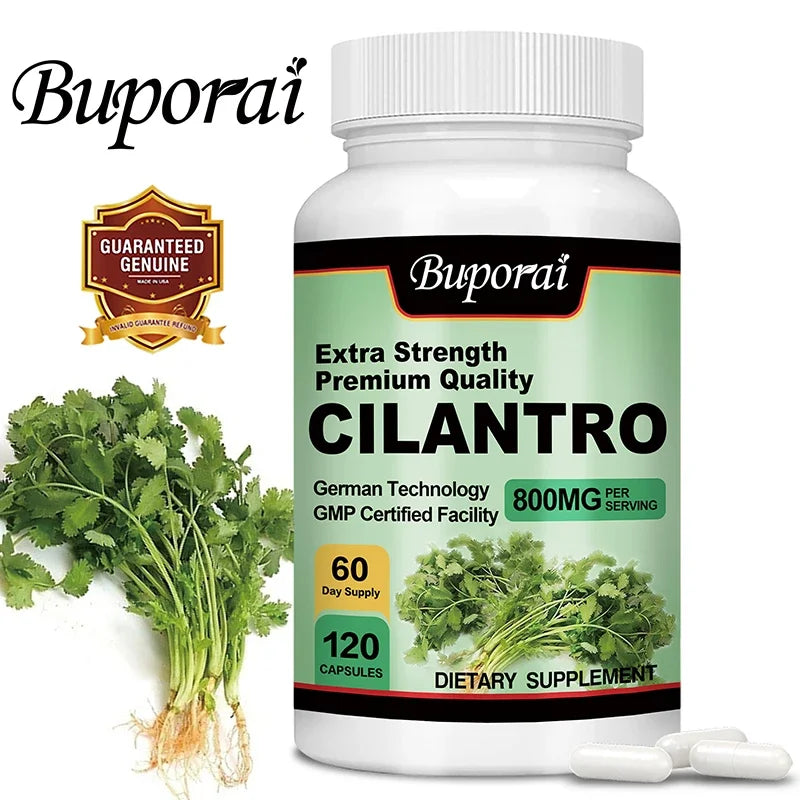 Cilantro Supplement - Rich Source of Antioxidants - Natural Cleansing & Detox