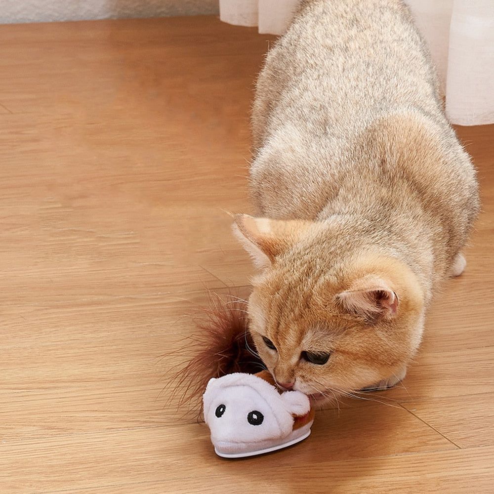 Smart Cat Toy Interactive Running Mouse Cat Teaser Feather Toys Electric Random Moving Simulation Mice Kitten Squeak Plush Toys - Jointcorp