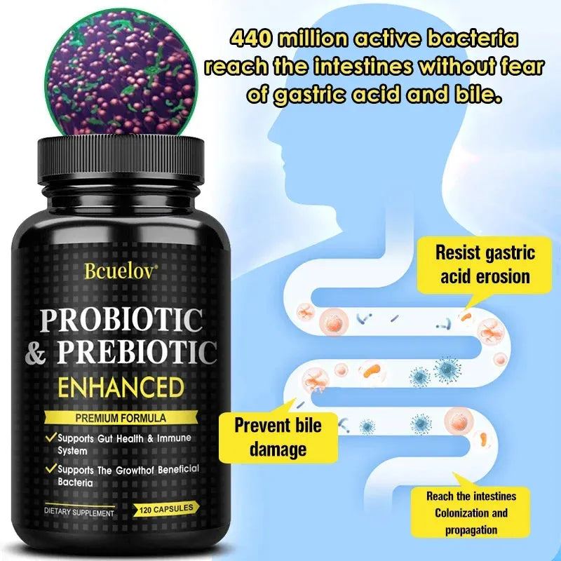 Probiotics and Prebiotics, Good for Intestinal Health, Relieve Bloating, Probiotic Capsules