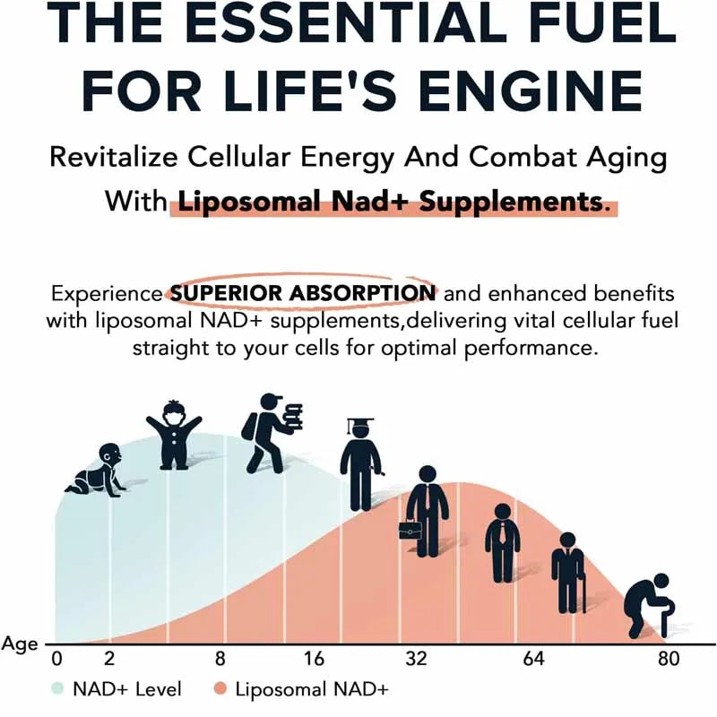 1600mg Liposomal Nad Supplement, 98% Pure Nad+can Replace Nicotinamide Nucleoside In 60 Soft Capsules