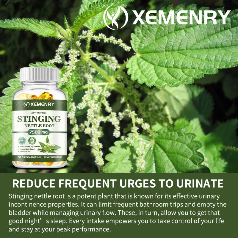 Stinging Nettle Root - Prostate Support and Urinary Tract Health, Relieve Urinary Frequency Capsules