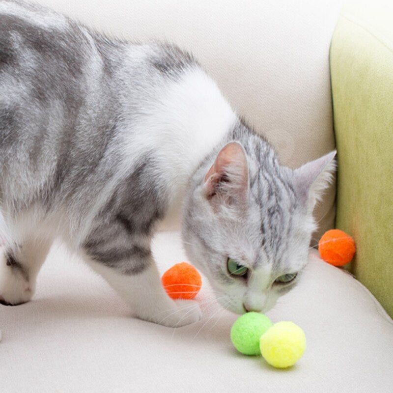 Cat Dog Toy Plush Balls Kitten Toys Interactive Play Ball - Jointcorp