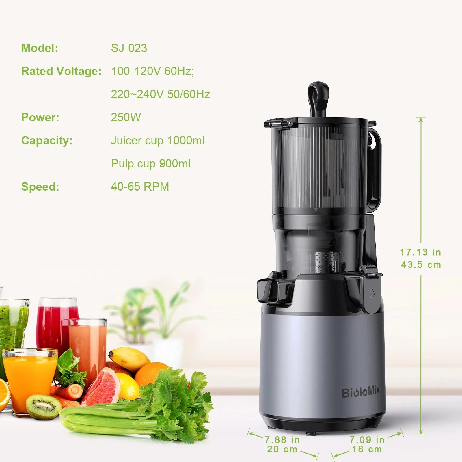 BioloMix Cold Press Juicer,with 130mm Feed Chute,Fit Whole Fruits & Vegetables,High Juice Yield,BPA FREE Slow Masticating Juicer