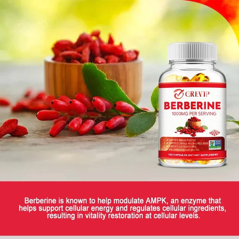 Berberine Extract 1000 Mg - Supports Gastrointestinal and Overall Health with Antioxidant Benefits