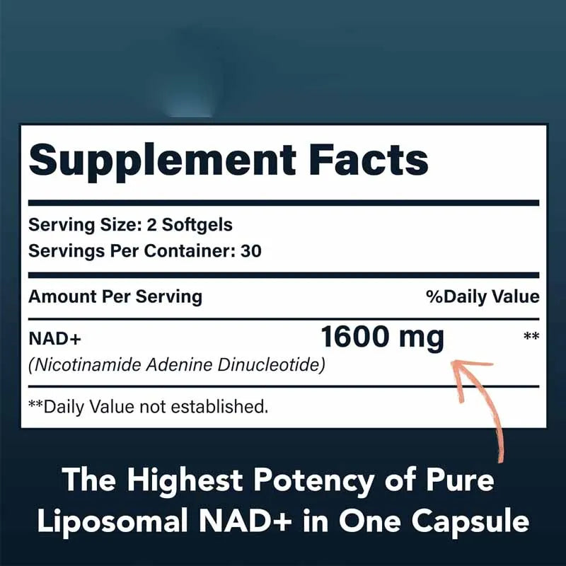 1600mg Liposomal Nad Supplement, 98% Pure Nad+can Replace Nicotinamide Nucleoside In 60 Soft Capsules