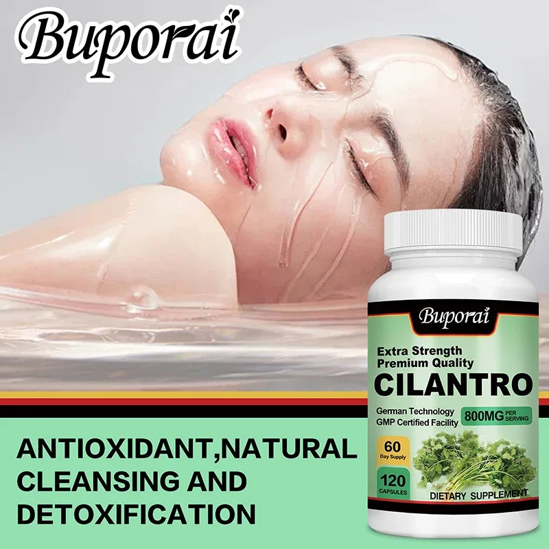 Cilantro Supplement - Rich Source of Antioxidants - Natural Cleansing & Detox