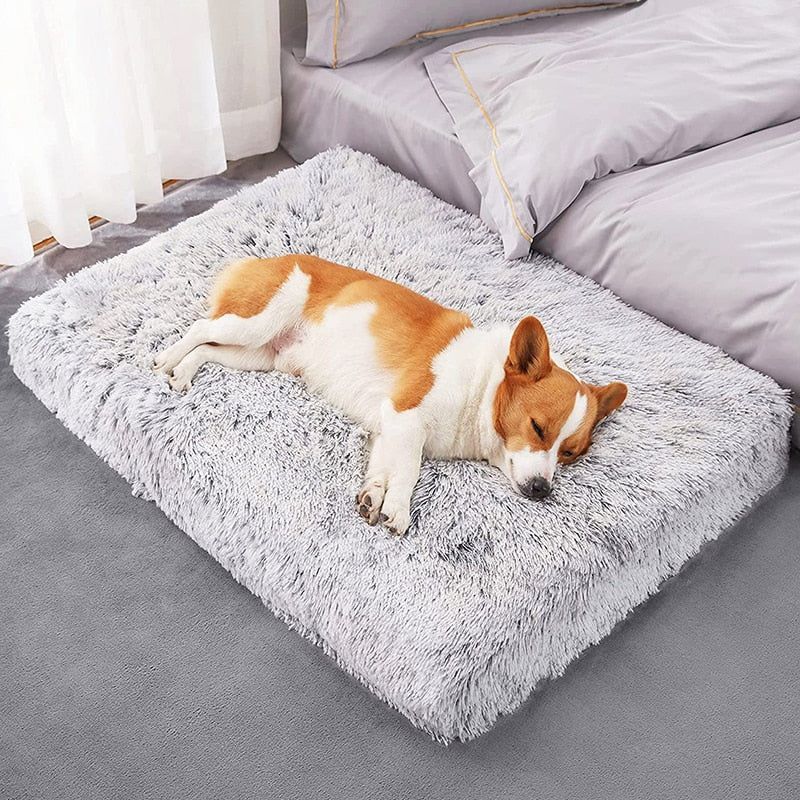 Plush Cat Beds Dog Bed Mat  Removable for Cleaning Puppy Cushion Super Soft Claming Dog Beds Pet Bed for Small Medium Large Dogs - Jointcorp