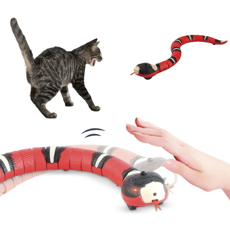 Smart Sensing Interactive Cat Toys Automatic Eletronic Snake Cat Teasering Play USB Rechargeable Kitten Toys for Cats Dogs Pet - Jointcorp